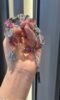 Detail of Rainbow Fluorite bracelet, silver accents and beads’ color-metal synergy