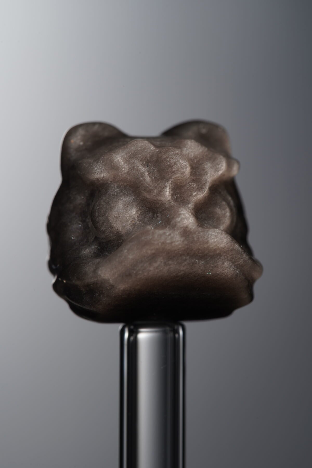 Obsidian-Silver-Awakened Lion-15mm - Image 4