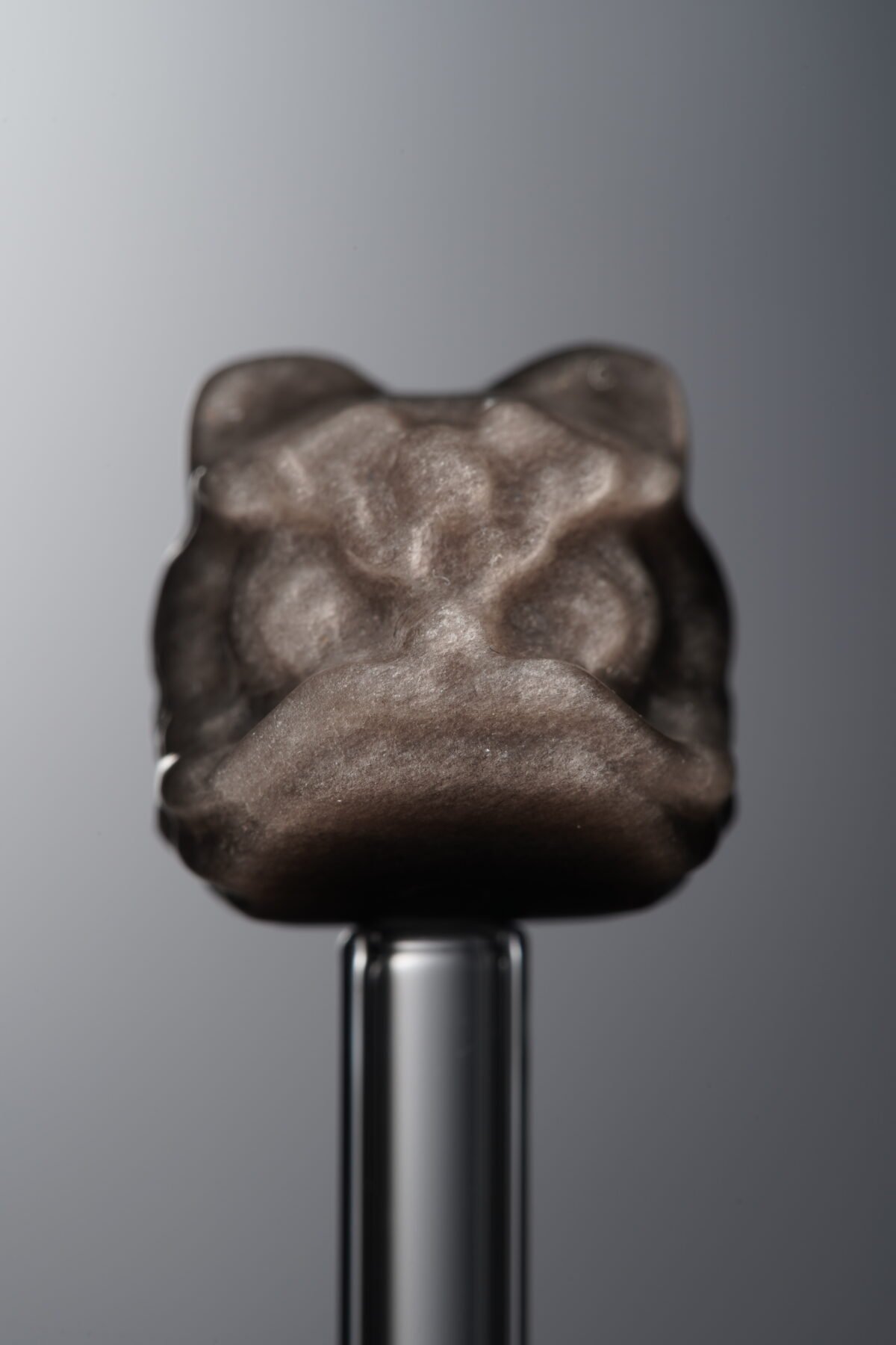 Obsidian-Silver-Awakened Lion-15mm - Image 3