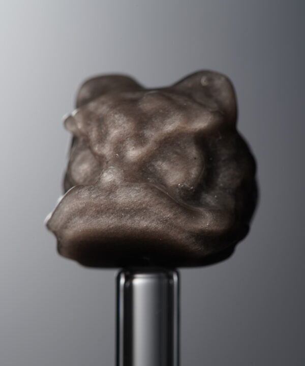 Obsidian-Silver-Awakened Lion-15mm