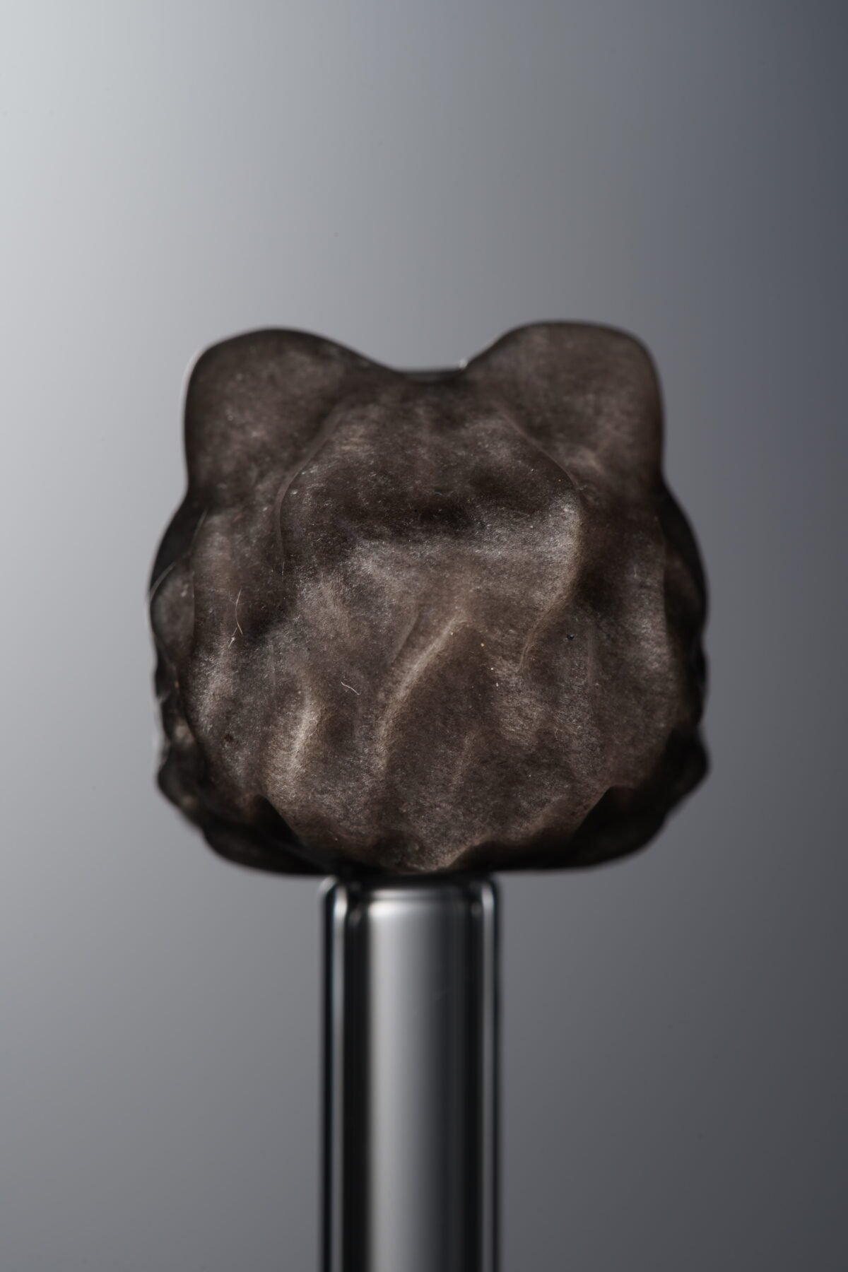 Obsidian-Silver-Awakened Lion-15mm - Image 2