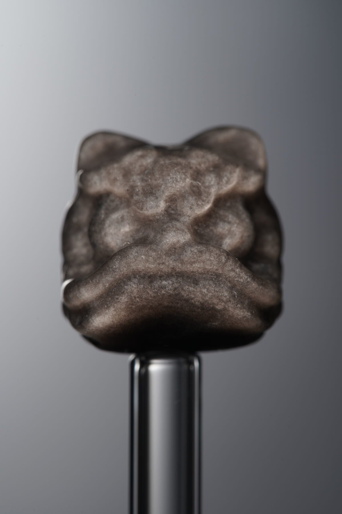 Obsidian-Silver-Awakened Lion-16mm - Image 1