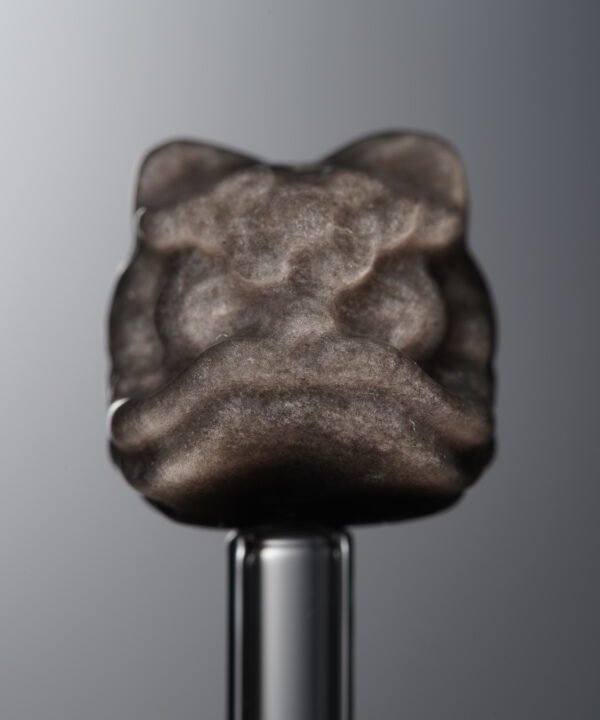 Obsidian-Silver-Awakened Lion-16mm