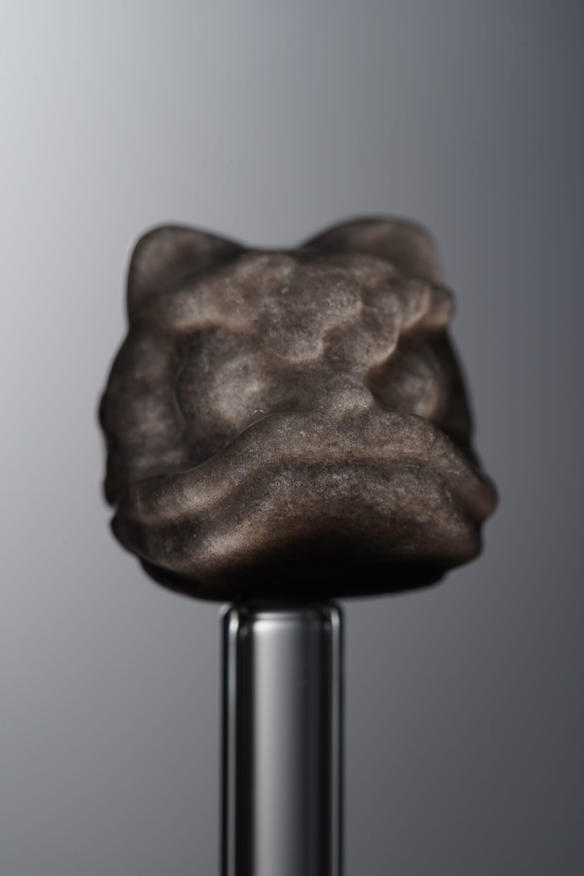 Obsidian-Silver-Awakened Lion-16mm - Image 2