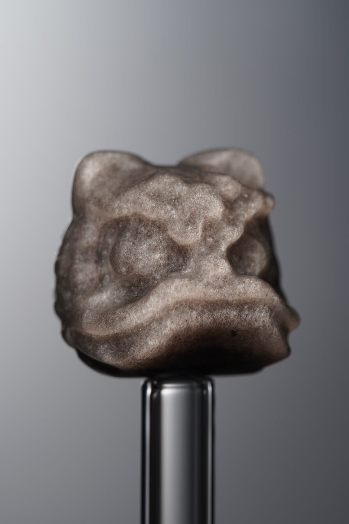 D1-142 (2) Obsidian-Silver-Awakened Lion-16mm - Image 1