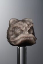 Obsidian-Silver-Awakened Lion-16mm