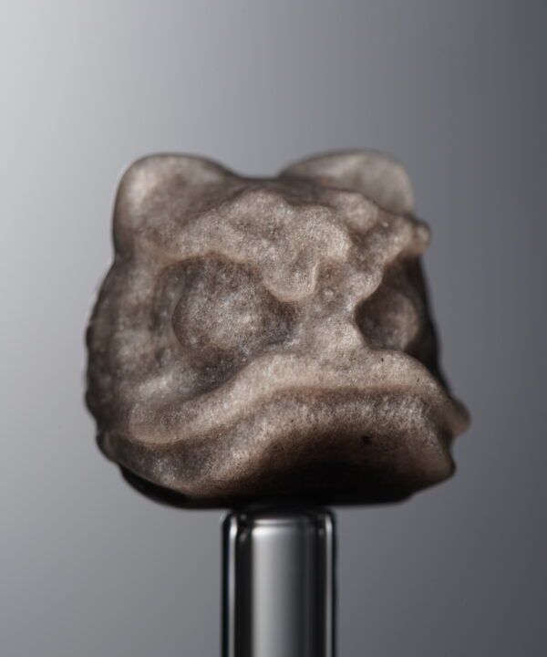 Obsidian-Silver-Awakened Lion-16mm