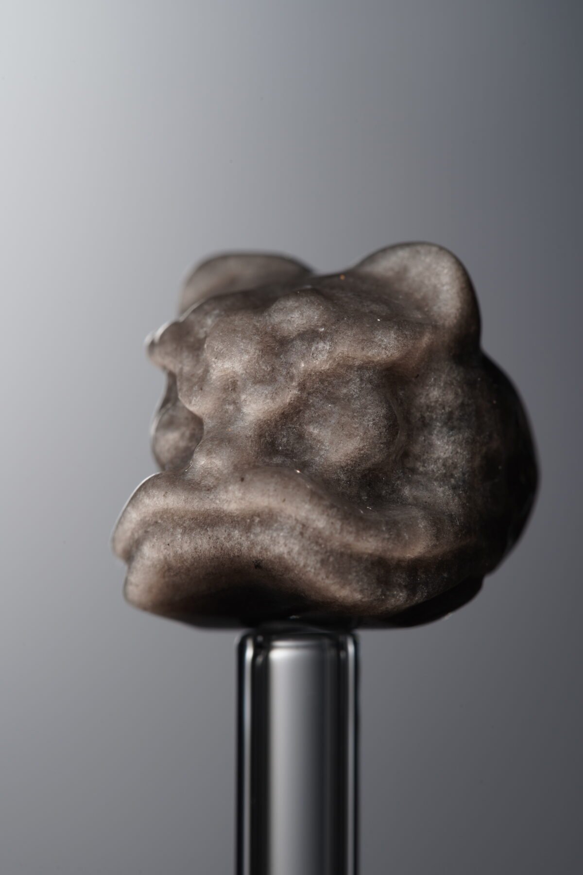 Obsidian-Silver-Awakened Lion-16mm - Image 3