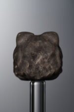 Obsidian-Silver-Awakened Lion-16mm - Image 4