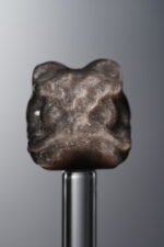 Obsidian-Silver-Awakened Lion-16mm - Image 4