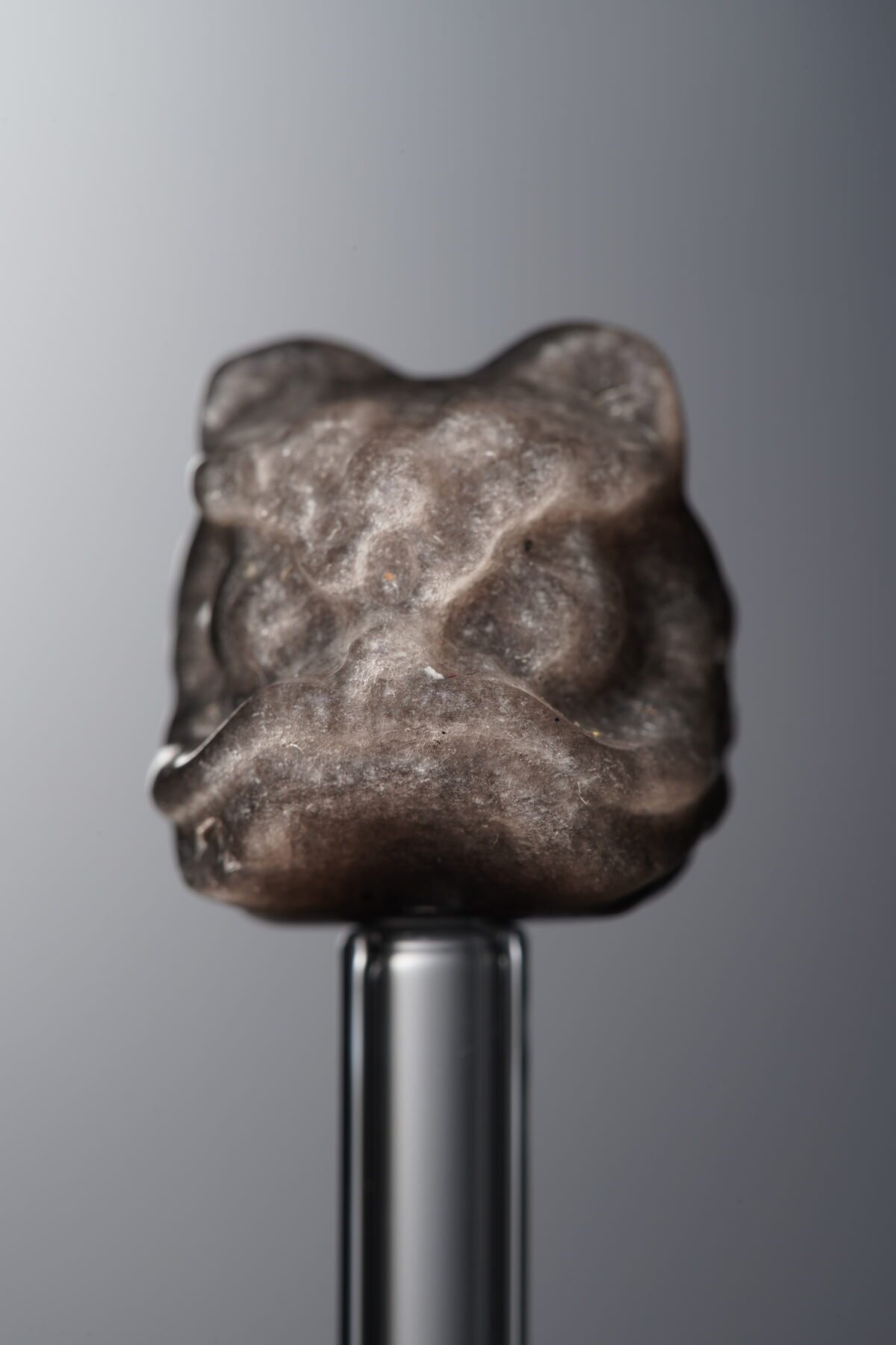Obsidian-Silver-Awakened Lion-16mm - Image 1