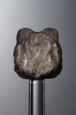 Obsidian-Silver-Awakened Lion-16mm - Image 2