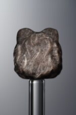 Obsidian-Silver-Awakened Lion-16mm - Image 2