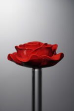 Cinnabar-Red-Rose-28mm - Image 2