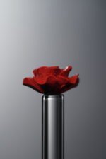 Cinnabar-Red-Rose-13mm - Image 4