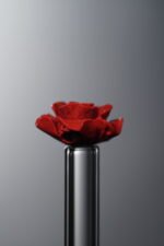 Cinnabar-Red-Rose-13mm - Image 2