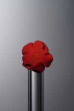 Cinnabar-Red-Rose-10mm - Image 3