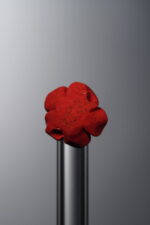 Cinnabar-Red-Rose-10mm - Image 3