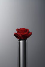 Cinnabar-Red-Rose-10mm - Image 2