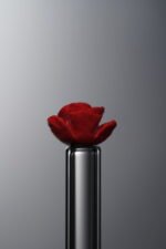 Cinnabar-Red-Rose-10mm - Image 4