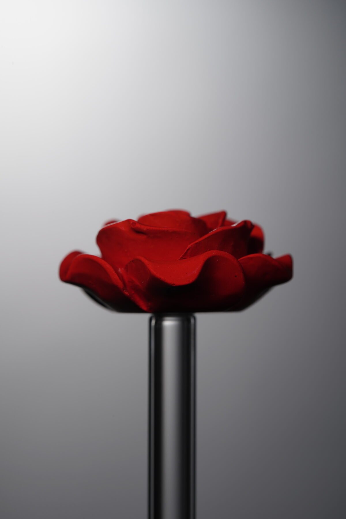 Cinnabar-Red-Rose-25mm - Image 4
