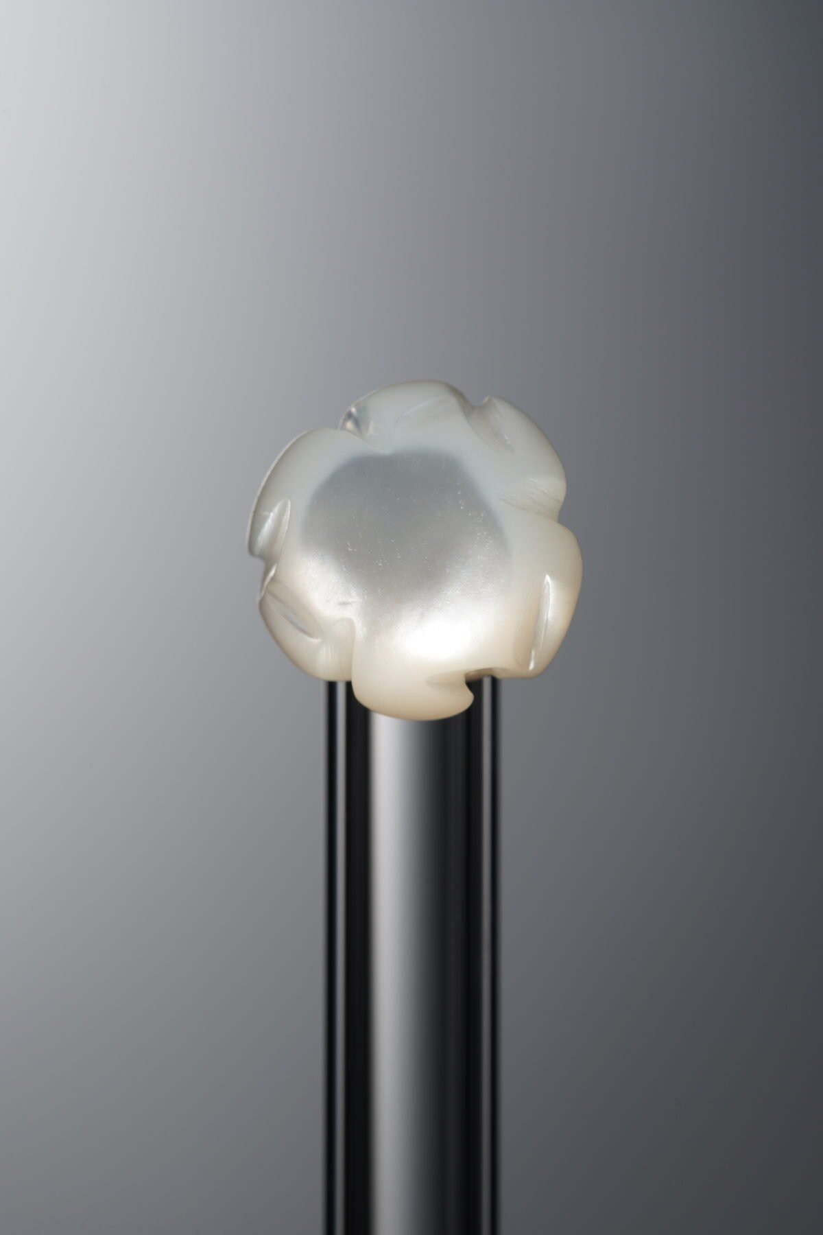 Mother of Pearl-White-Rose-9mm - Image 3