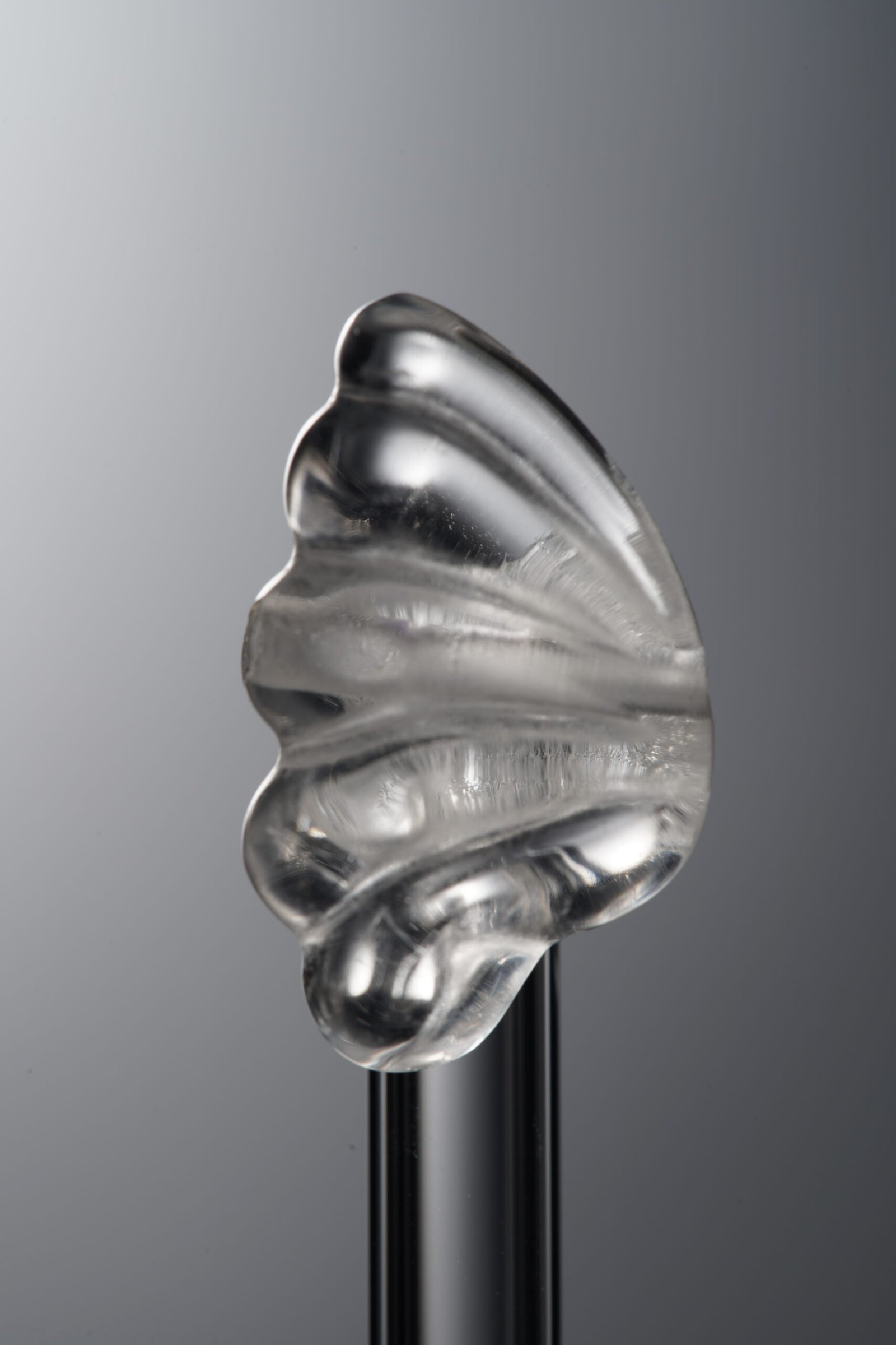 D6-24 (3) Crystal-White-Wings-20mm - Image 1