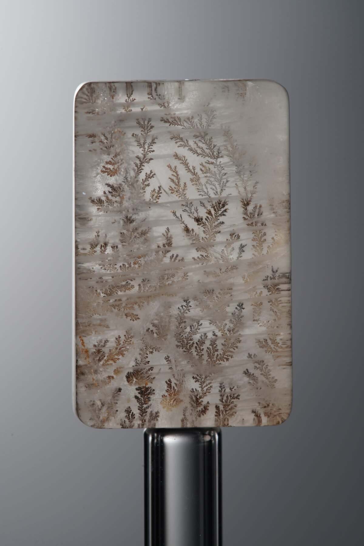 Crystal-Brown-Tree-flower Rectangle Plaque-22mm - Image 1