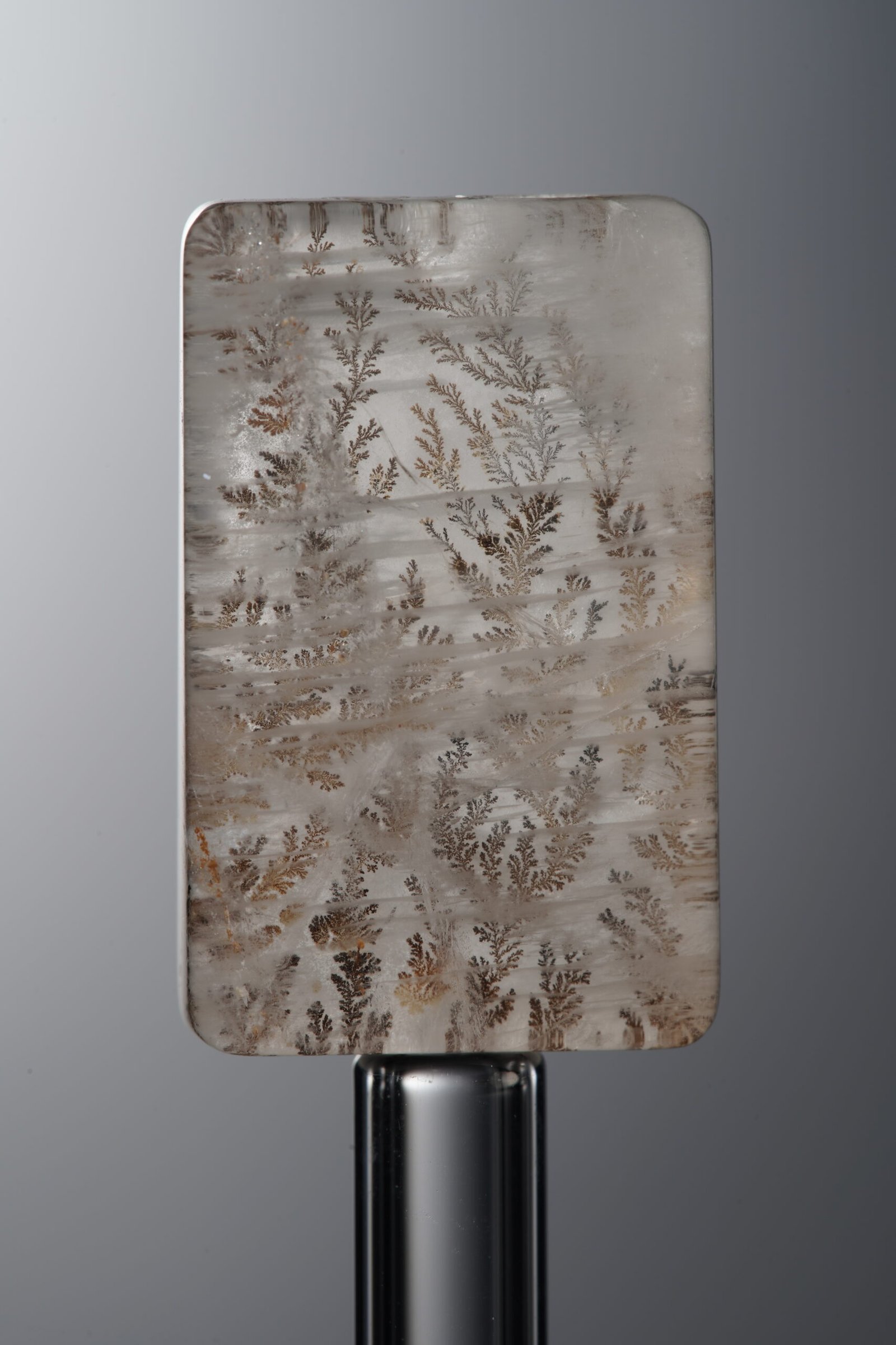 D8-151 (1) Crystal-Brown-Tree-flower Rectangle Plaque-22mm - Image 1