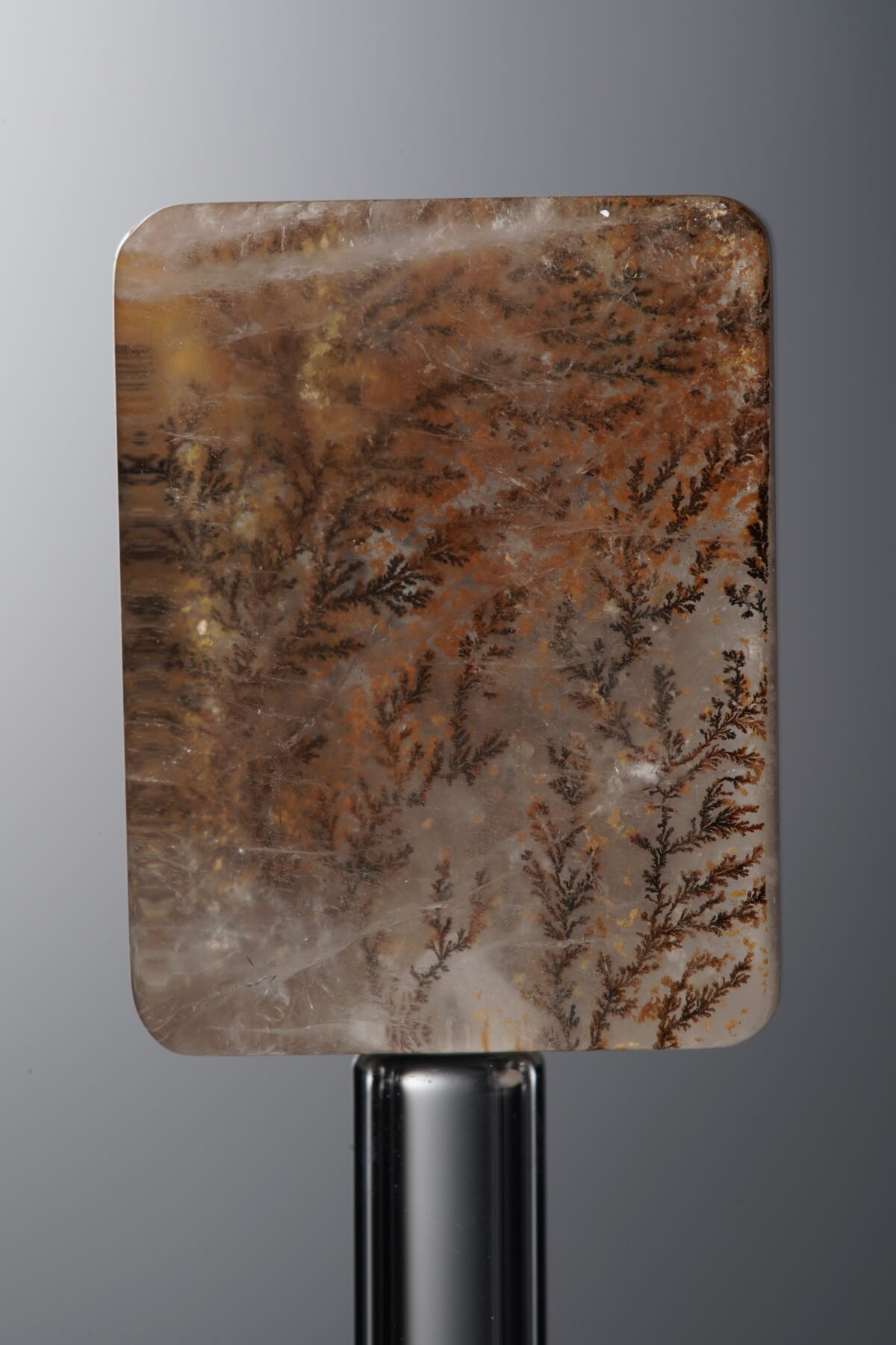 Crystal-Brown-Tree-flower Rectangle Plaque-22mm - Image 1