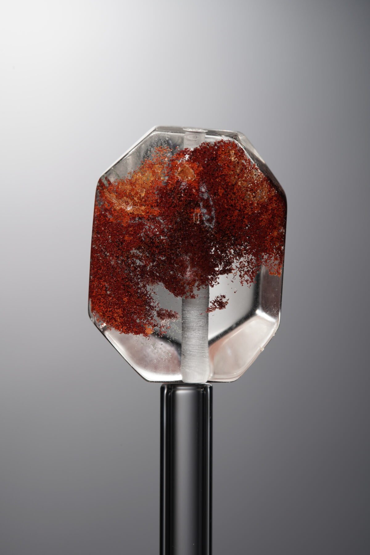 D8-261 (4) Crystal-Red-Freeform-24mm - Image 1