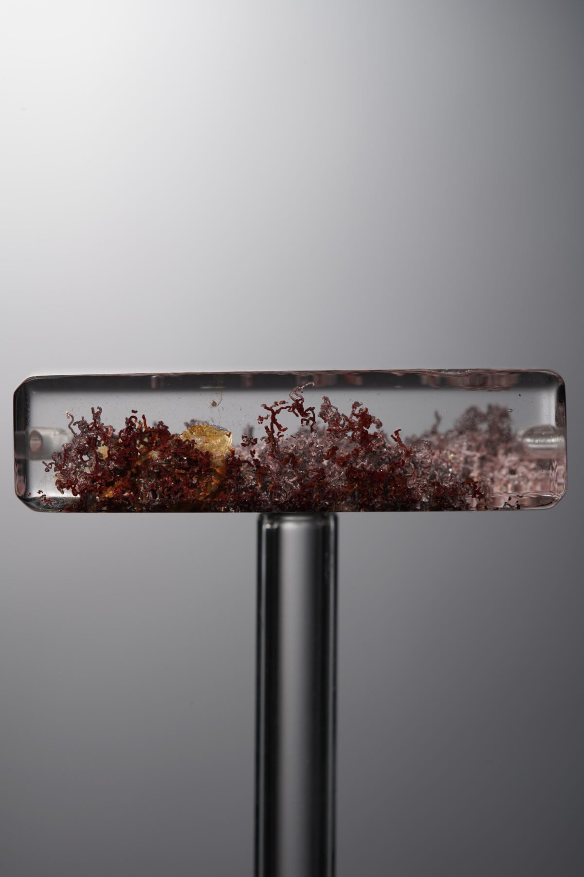Crystal-Red-Rectangle Plaque-33mm - Image 4