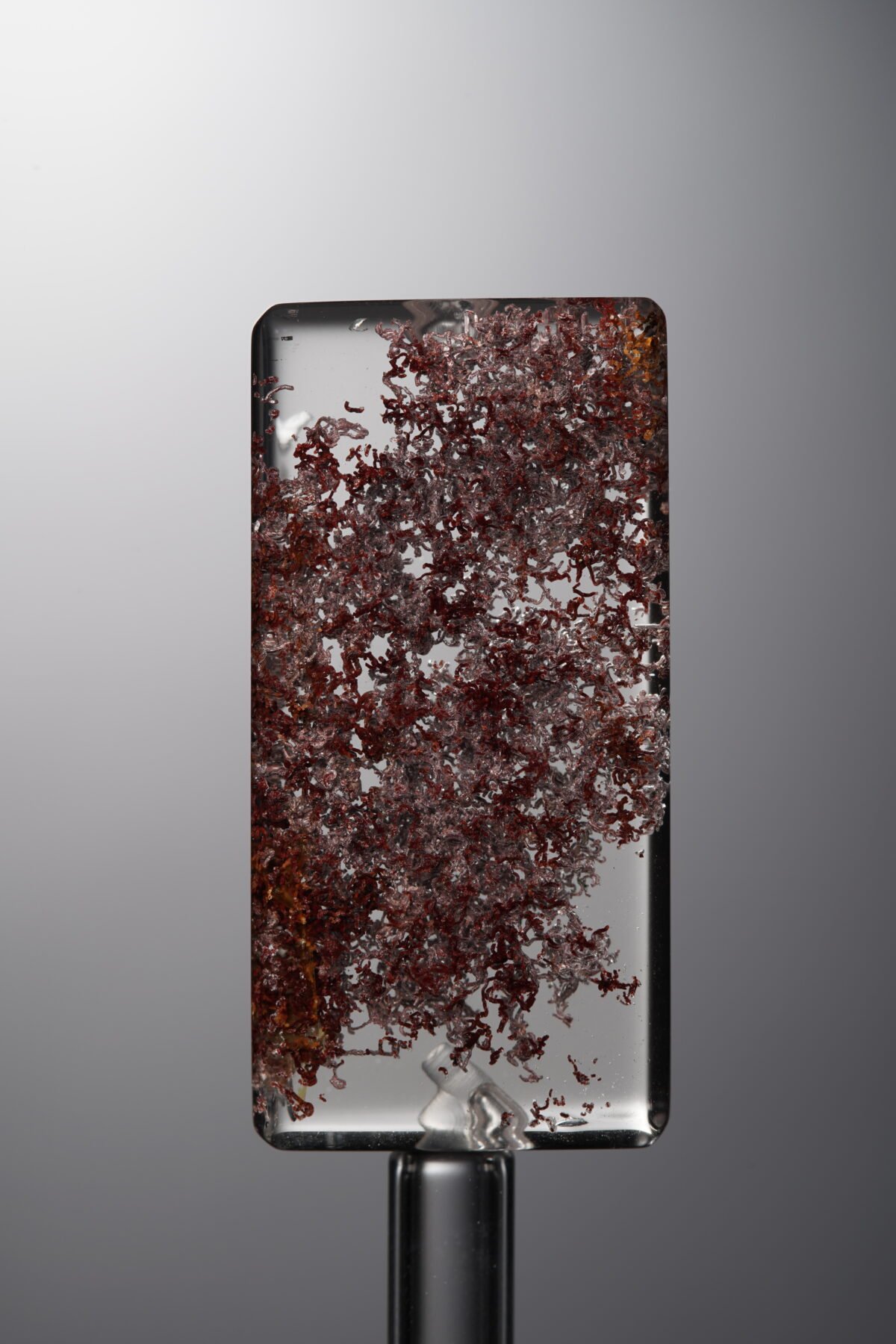 Crystal-Red-Rectangle Plaque-33mm - Image 1